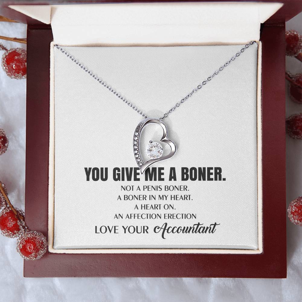 You Give Me A Heart Boner An Affection Erection Funny & Sarcastic Love For Her ? Mature Best Funny Gag Gifts For Accountant Wife On Special Days Forever Love Necklace