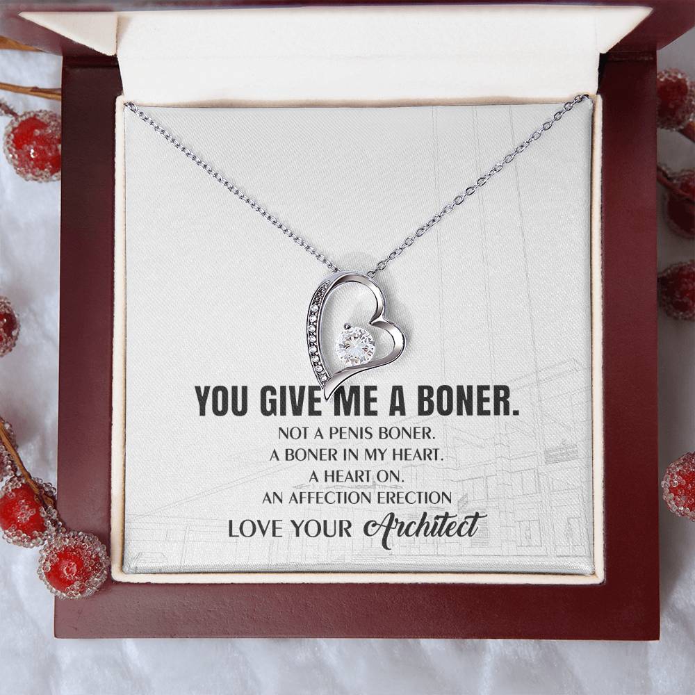 You Give Me A Heart Boner An Affection Erection Funny & Sarcastic Love For Her ? Mature Best Funny Gag Gifts For Architect Wife On Special Days Forever Love Necklace