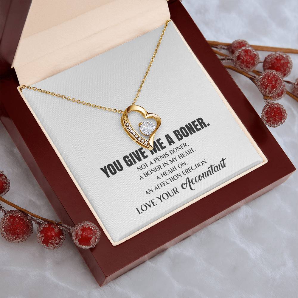 You Give Me A Heart Boner An Affection Erection Funny & Sarcastic Love For Her ? Mature Best Funny Gag Gifts For Accountant Wife On Special Days Forever Love Necklace