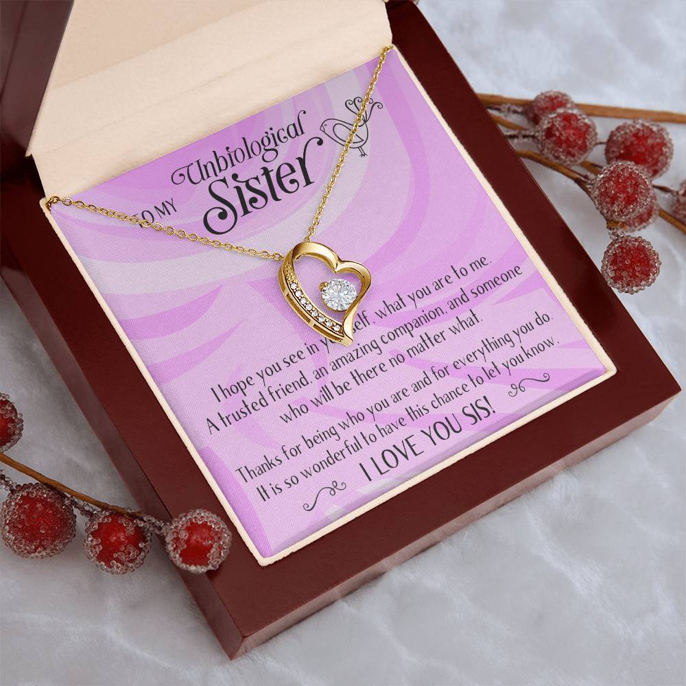 Unbiological Sisters Necklace Bonus Sister Soul Sister Best Friend Sister In Law Step Sister Gifts For Her 1 Forever Love Necklace