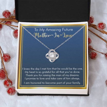 Gift For Future Mother-In-Law - Part Of Your Family - Love Knot Love Knot Necklace
