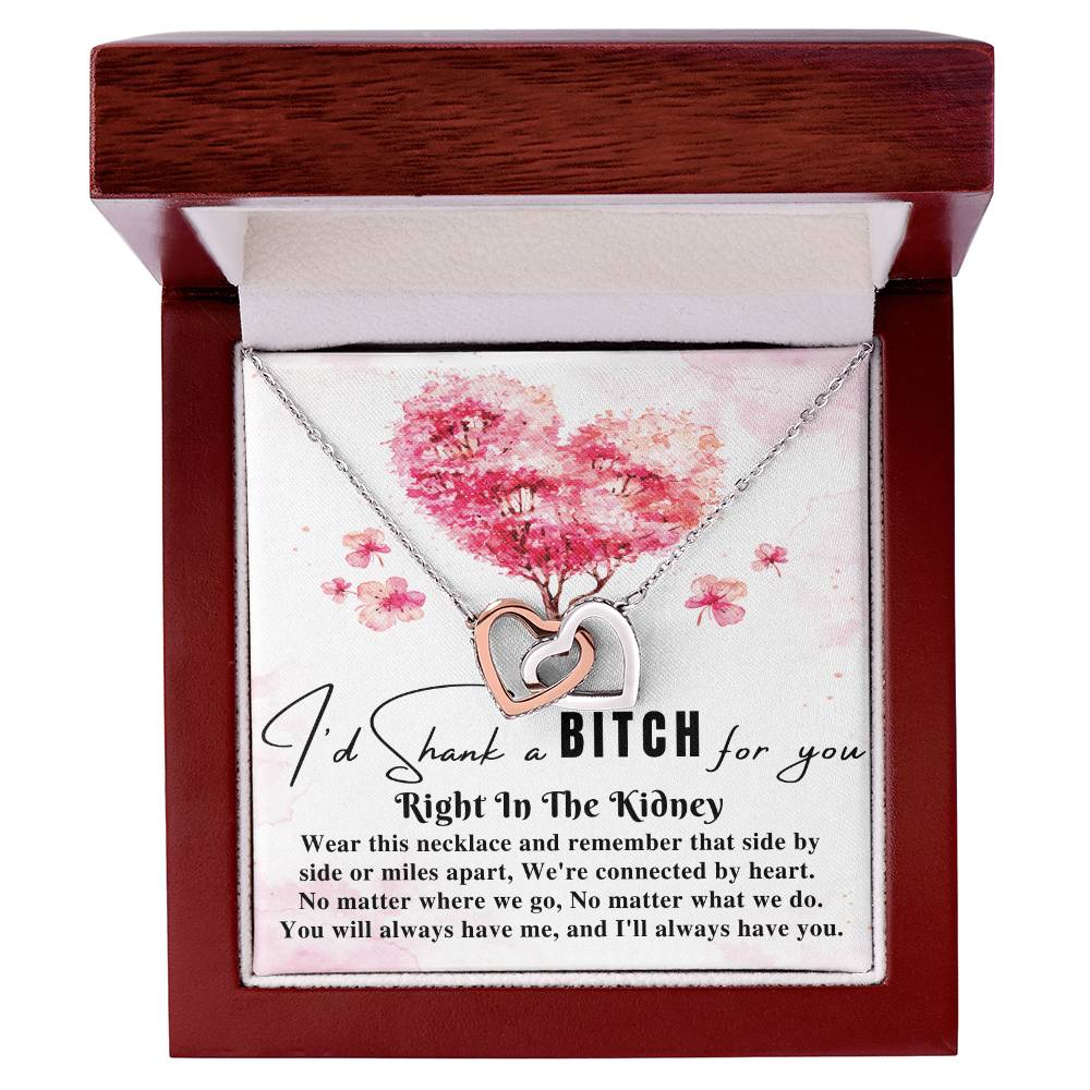 Funny Gift For Best Friend Woman I'D Shank A Bitch For You Right In The Kidney Birthday Gift For Her Necklace Gift For Sister Two Hearts Interlocking Hearts Necklace