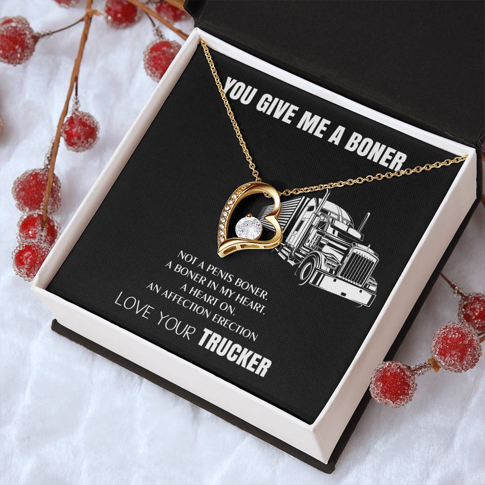 You Give Me A Heart Boner An Affection Erection Funny & Sarcastic Love For Her ? Mature Gag Gift For Truck Drivers Wife 1 Forever Love Necklace