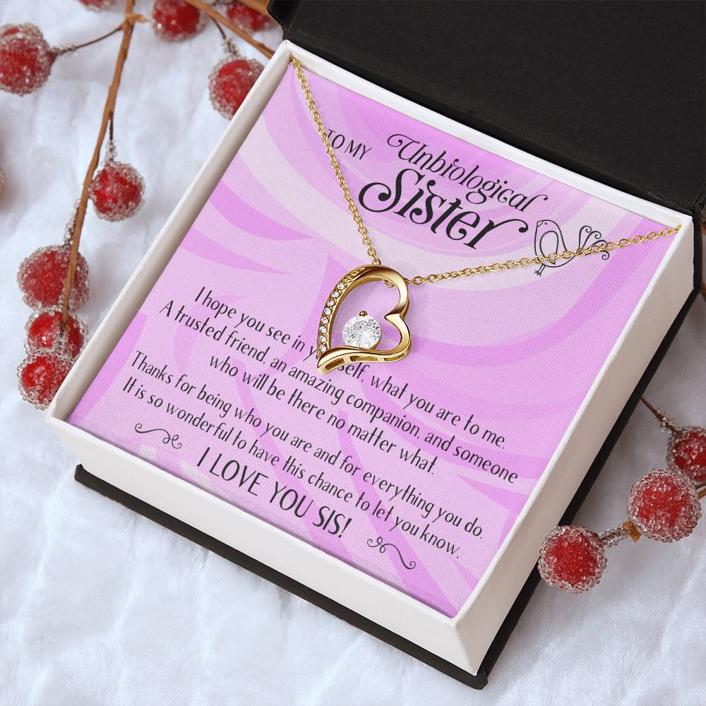 Unbiological Sisters Necklace Bonus Sister Soul Sister Best Friend Sister In Law Step Sister Gifts For Her 1 Forever Love Necklace