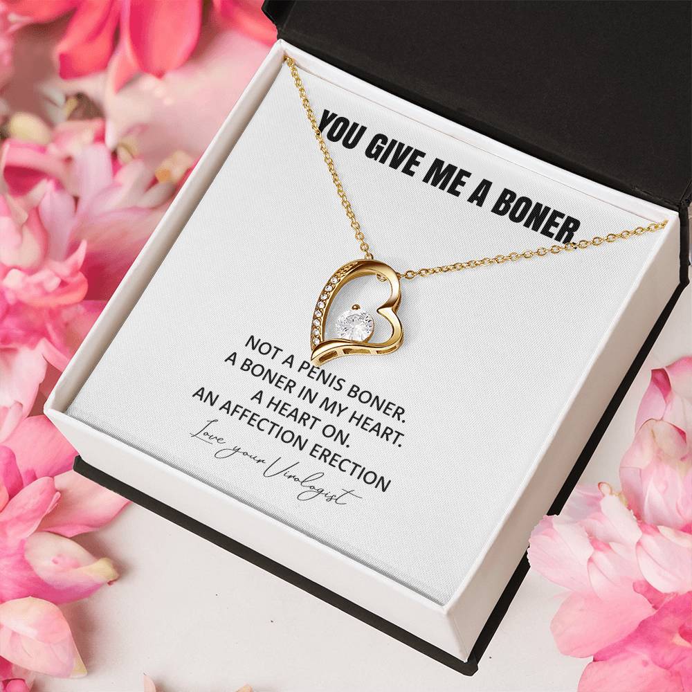 You Give Me A Heart Boner An Affection Erection Funny & Sarcastic Love For Her ? Mature Best Funny Gag Gifts For Virologist Wife On Special Days Forever Love Necklace