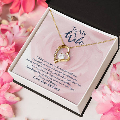To My Wife Never Forget How Special You Are To Me. I Love You. Forever And Always Forever Love Necklace