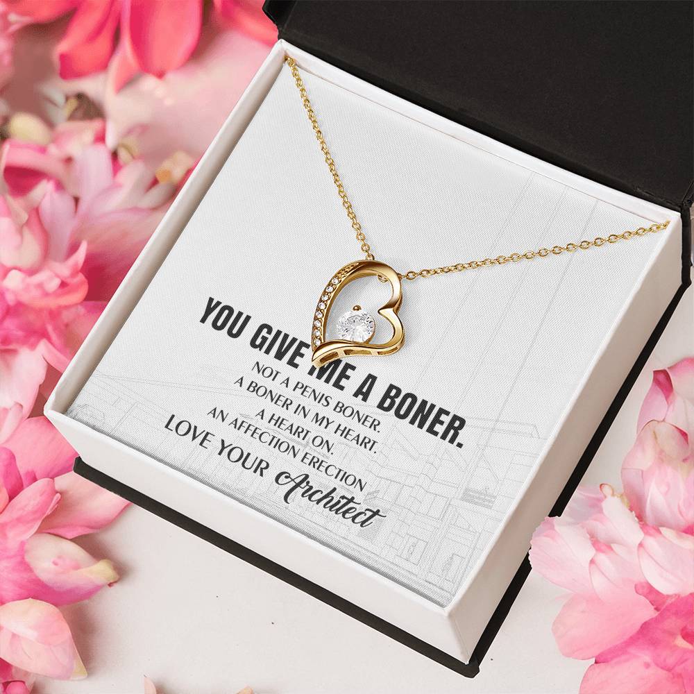 You Give Me A Heart Boner An Affection Erection Funny & Sarcastic Love For Her ? Mature Best Funny Gag Gifts For Architect Wife On Special Days Forever Love Necklace